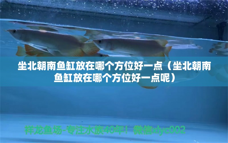 坐北朝南魚缸放在哪個方位好一點（坐北朝南魚缸放在哪個方位好一點呢）