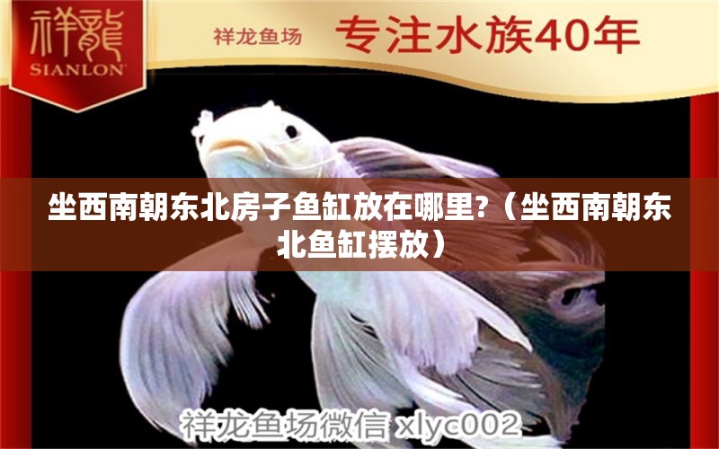 坐西南朝東北房子魚(yú)缸放在哪里?（坐西南朝東北魚(yú)缸擺放）