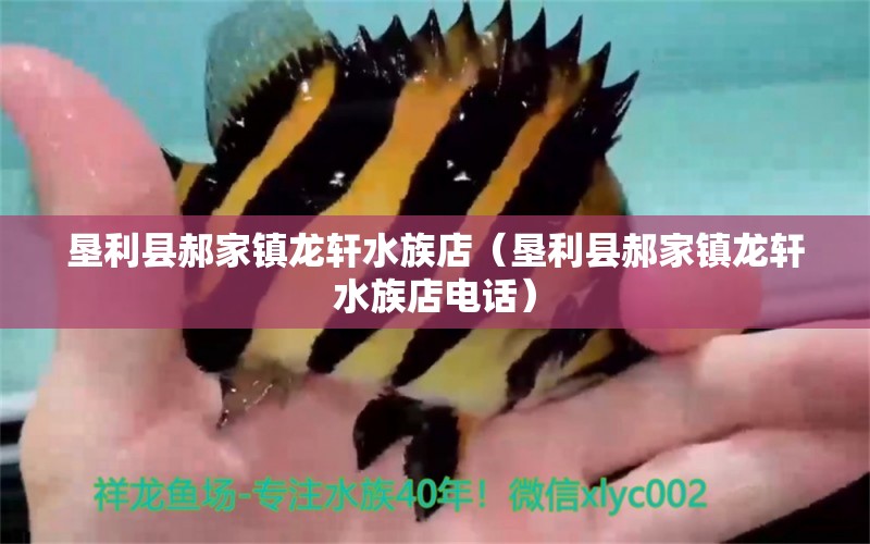 墾利縣郝家鎮(zhèn)龍軒水族店（墾利縣郝家鎮(zhèn)龍軒水族店電話） 全國(guó)水族館企業(yè)名錄