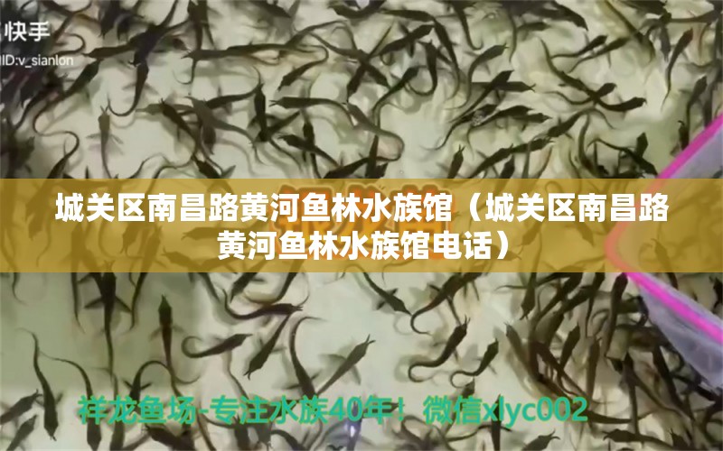 城關(guān)區(qū)南昌路黃河魚(yú)林水族館（城關(guān)區(qū)南昌路黃河魚(yú)林水族館電話）