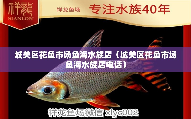 城關(guān)區(qū)花魚市場魚海水族店（城關(guān)區(qū)花魚市場魚海水族店電話） 全國水族館企業(yè)名錄