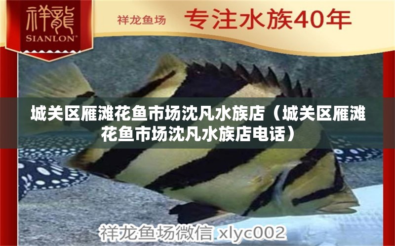 城關(guān)區(qū)雁灘花魚市場(chǎng)沈凡水族店（城關(guān)區(qū)雁灘花魚市場(chǎng)沈凡水族店電話）