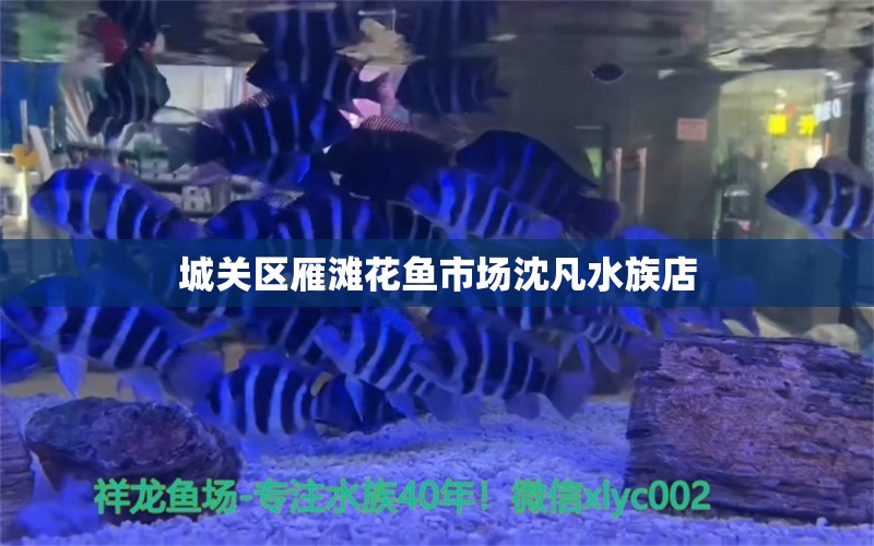 城關區(qū)雁灘花魚市場沈凡水族店