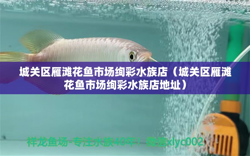 城關(guān)區(qū)雁灘花魚市場絢彩水族店（城關(guān)區(qū)雁灘花魚市場絢彩水族店地址）