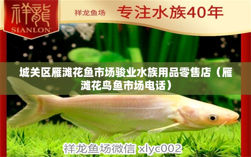 城關(guān)區(qū)雁灘花魚市場(chǎng)駿業(yè)水族用品零售店（雁灘花鳥魚市場(chǎng)電話）