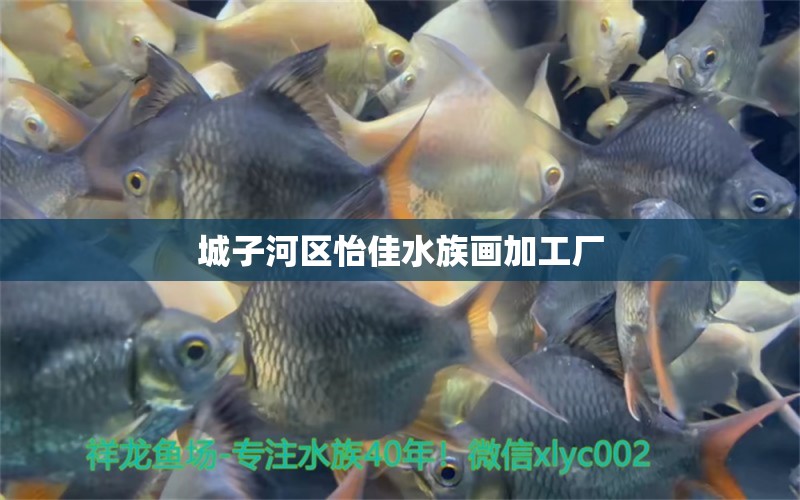 城子河區(qū)怡佳水族畫加工廠