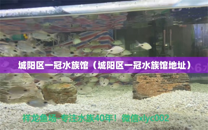 城陽(yáng)區(qū)一冠水族館（城陽(yáng)區(qū)一冠水族館地址） 全國(guó)水族館企業(yè)名錄