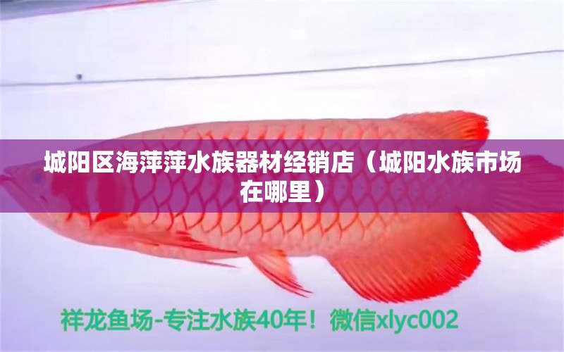 城陽區(qū)海萍萍水族器材經銷店（城陽水族市場在哪里）