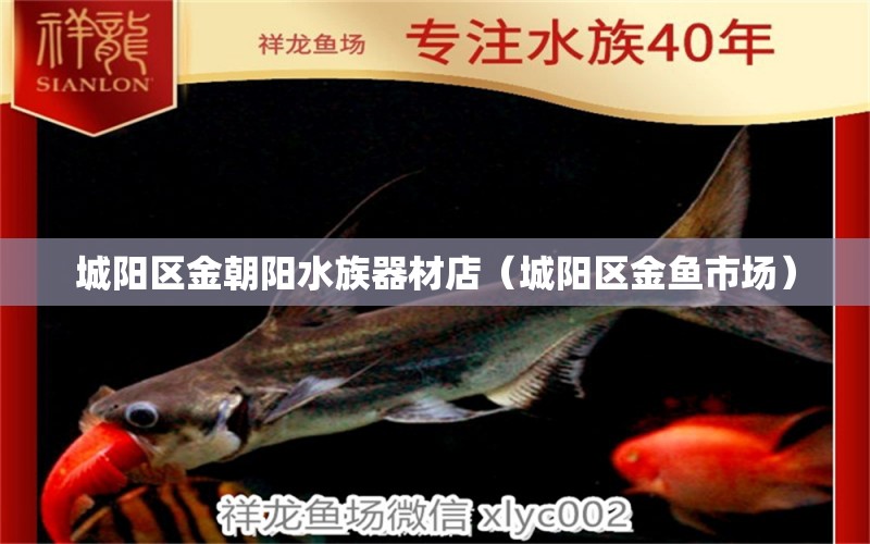 城陽(yáng)區(qū)金朝陽(yáng)水族器材店（城陽(yáng)區(qū)金魚市場(chǎng)）