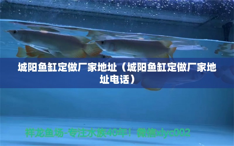 城陽(yáng)魚(yú)缸定做廠家地址（城陽(yáng)魚(yú)缸定做廠家地址電話） 綠皮皇冠豹魚(yú)