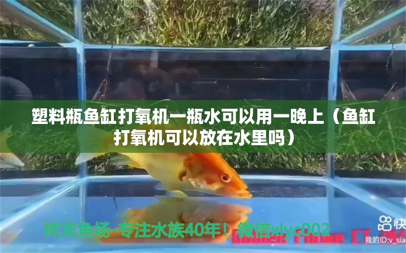 塑料瓶魚缸打氧機(jī)一瓶水可以用一晚上（魚缸打氧機(jī)可以放在水里嗎）