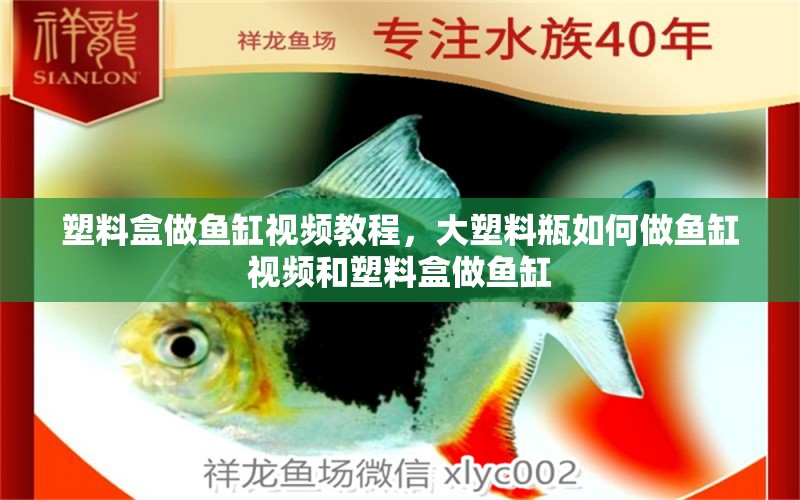 塑料盒做魚缸視頻教程，大塑料瓶如何做魚缸視頻和塑料盒做魚缸