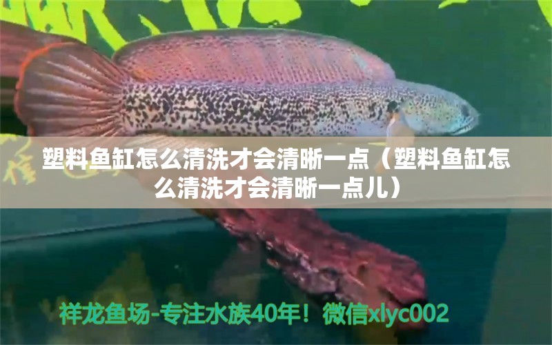 塑料魚缸怎么清洗才會清晰一點（塑料魚缸怎么清洗才會清晰一點兒）