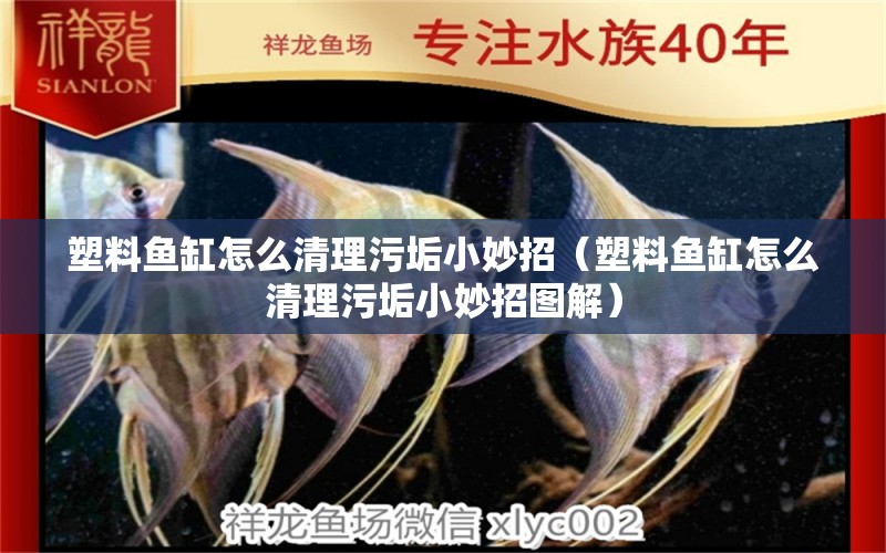 塑料魚(yú)缸怎么清理污垢小妙招（塑料魚(yú)缸怎么清理污垢小妙招圖解） 朱巴利魚(yú)