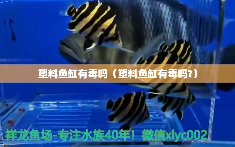 塑料魚缸有毒嗎（塑料魚缸有毒嗎?）