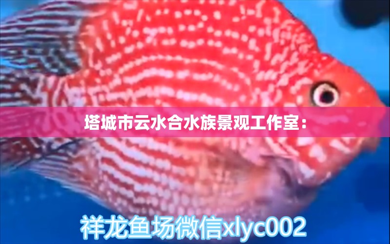 塔城市云水合水族景觀工作室：