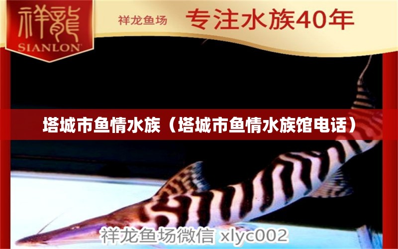 塔城市魚(yú)情水族（塔城市魚(yú)情水族館電話(huà)）