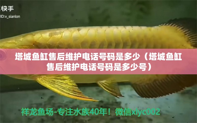 塔城魚缸售后維護電話號碼是多少（塔城魚缸售后維護電話號碼是多少號） 其他品牌魚缸