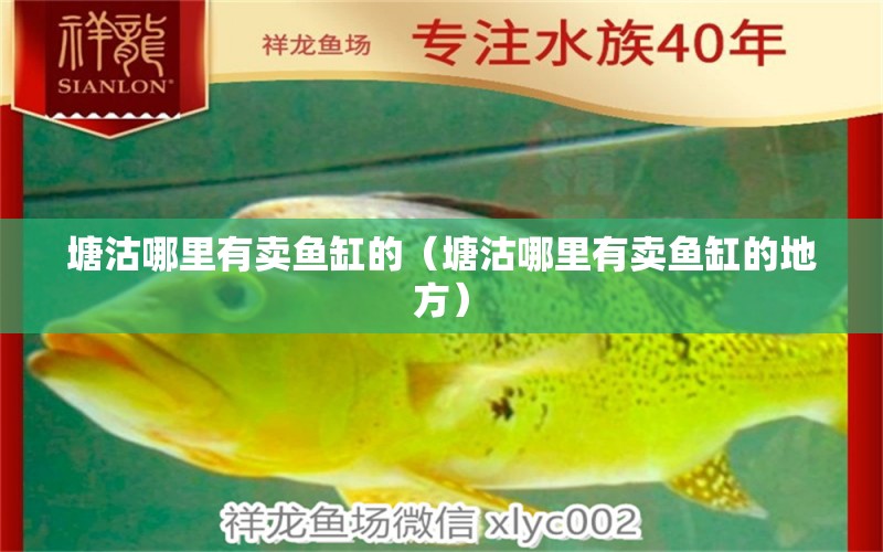 塘沽哪里有賣魚缸的（塘沽哪里有賣魚缸的地方） 泰龐海鰱魚