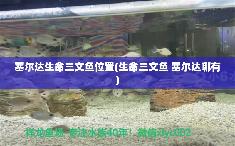 塞爾達生命三文魚位置(生命三文魚 塞爾達哪有)