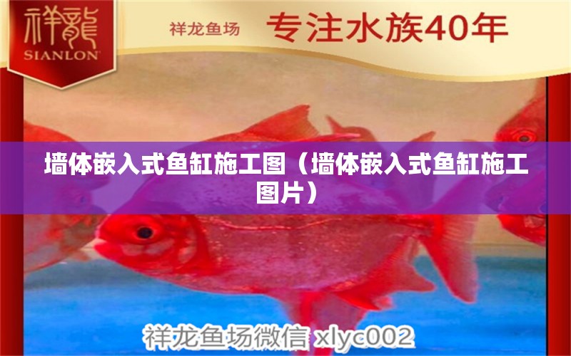 墻體嵌入式魚缸施工圖（墻體嵌入式魚缸施工圖片）