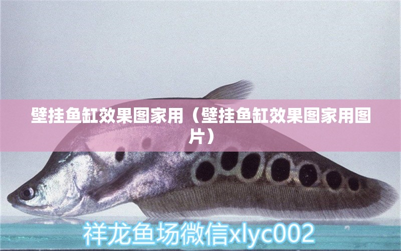 壁掛魚缸效果圖家用（壁掛魚缸效果圖家用圖片） 祥龍水族醫(yī)院