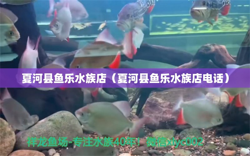 夏河縣魚樂水族店（夏河縣魚樂水族店電話） 全國水族館企業(yè)名錄