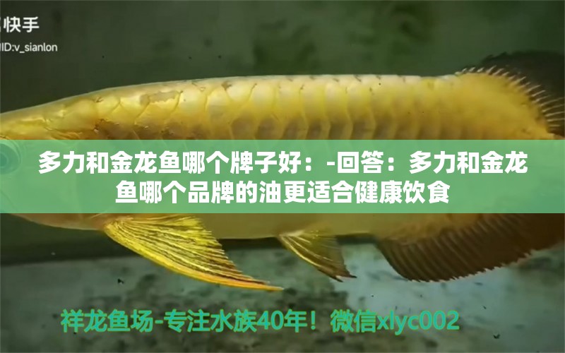 多力和金龍魚哪個牌子好：-回答：多力和金龍魚哪個品牌的油更適合健康飲食 水族問答 第2張