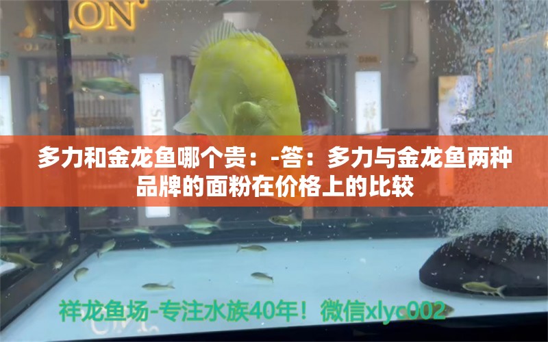 多力和金龍魚哪個(gè)貴：-答：多力與金龍魚兩種品牌的面粉在價(jià)格上的比較 水族問答 第2張