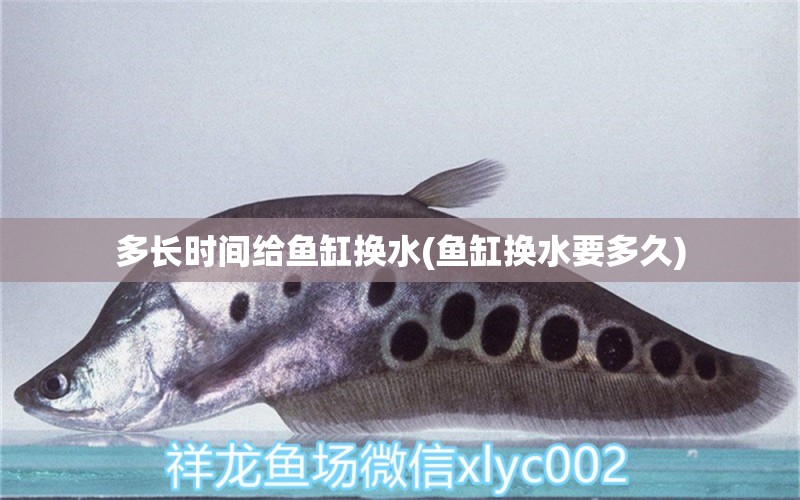 多長(zhǎng)時(shí)間給魚缸換水(魚缸換水要多久) 鐵甲武士