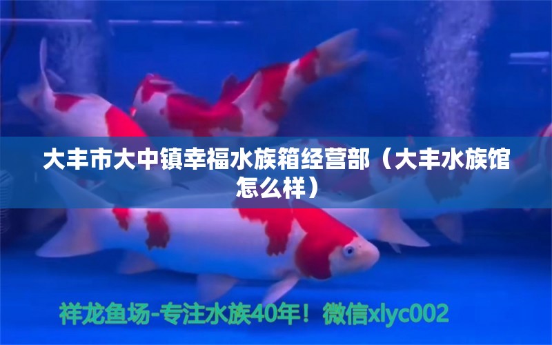 大豐市大中鎮(zhèn)幸福水族箱經(jīng)營(yíng)部（大豐水族館怎么樣）