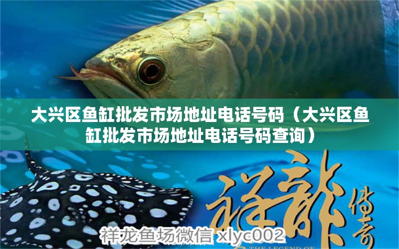 大興區(qū)魚缸批發(fā)市場地址電話號(hào)碼（大興區(qū)魚缸批發(fā)市場地址電話號(hào)碼查詢） 飛鳳魚