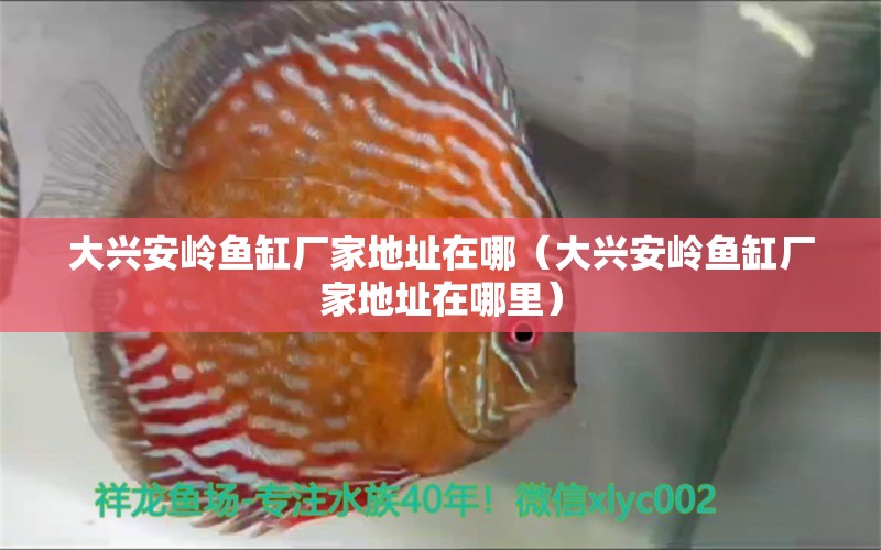 大興安嶺魚缸廠家地址在哪（大興安嶺魚缸廠家地址在哪里） 祥龍水族醫(yī)院