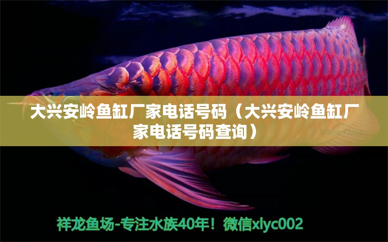 大興安嶺魚缸廠家電話號(hào)碼（大興安嶺魚缸廠家電話號(hào)碼查詢） 白條過(guò)背金龍魚