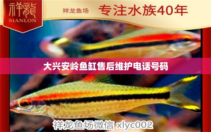 大興安嶺魚缸售后維護(hù)電話號碼 其他品牌魚缸