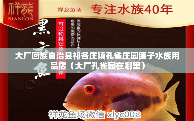 大廠回族自治縣祁各莊鎮(zhèn)孔雀莊園腰子水族用品店（大廠孔雀園在哪里） 水族用品