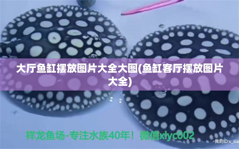 大廳魚缸擺放圖片大全大圖(魚缸客廳擺放圖片大全)