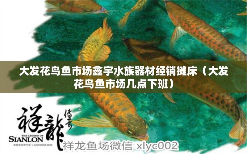 大發(fā)花鳥魚市場鑫宇水族器材經(jīng)銷攤床（大發(fā)花鳥魚市場幾點(diǎn)下班）