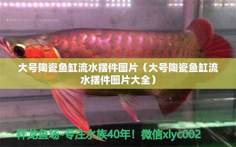 大號陶瓷魚缸流水?dāng)[件圖片（大號陶瓷魚缸流水?dāng)[件圖片大全） 印尼四紋虎