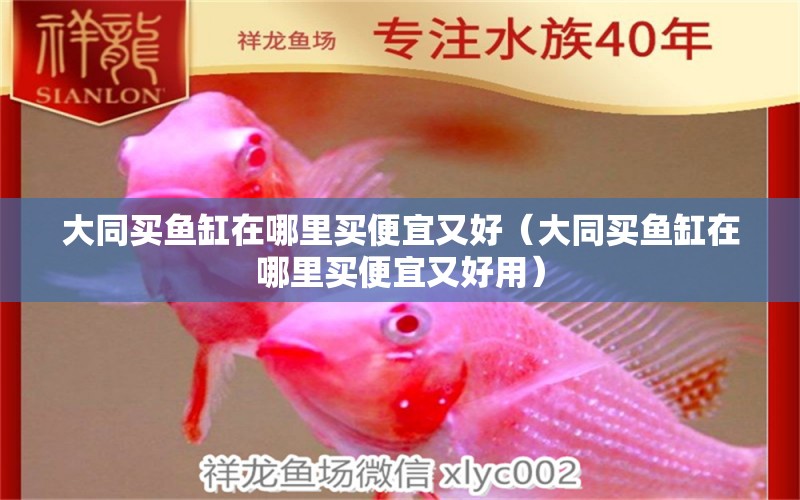 大同買魚缸在哪里買便宜又好（大同買魚缸在哪里買便宜又好用）