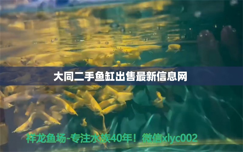 大同二手魚缸出售最新信息網 