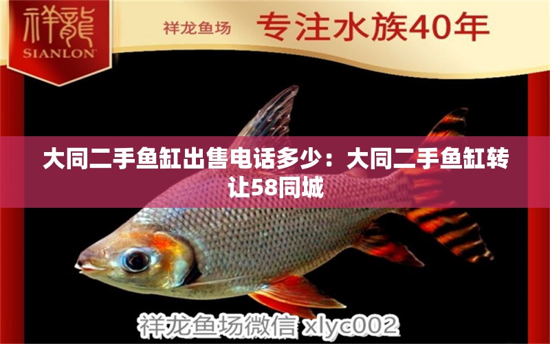 大同二手魚缸出售電話多少：大同二手魚缸轉讓58同城