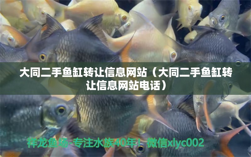 大同二手魚缸轉(zhuǎn)讓信息網(wǎng)站（大同二手魚缸轉(zhuǎn)讓信息網(wǎng)站電話）