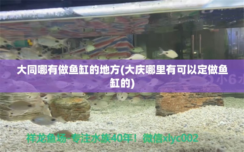 大同哪有做魚缸的地方(大慶哪里有可以定做魚缸的) 白寫錦鯉魚