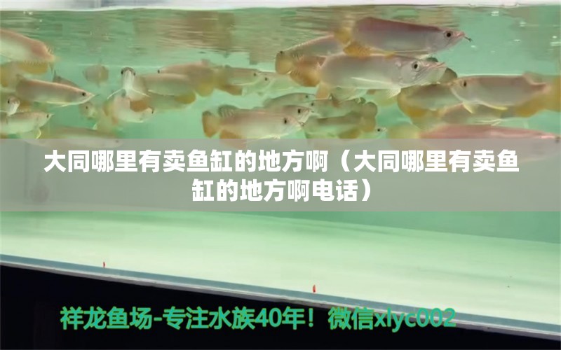 大同哪里有賣魚缸的地方?。ù笸睦镉匈u魚缸的地方啊電話） 觀賞魚市場（混養(yǎng)魚）