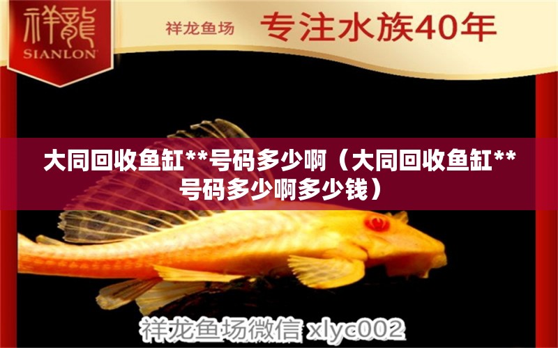 大同回收魚缸**號碼多少啊（大同回收魚缸**號碼多少啊多少錢）