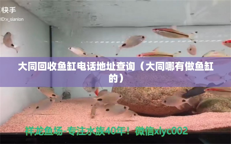 大同回收魚(yú)缸電話地址查詢（大同哪有做魚(yú)缸的） 金龍魚(yú)糧