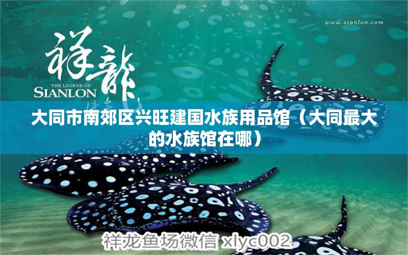 大同市南郊區(qū)興旺建國水族用品館（大同最大的水族館在哪） 水族用品