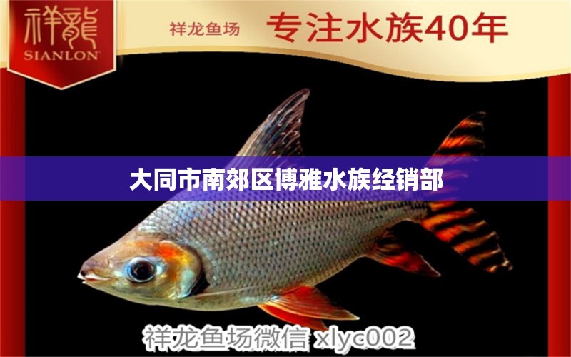 大同市南郊區(qū)博雅水族經(jīng)銷部