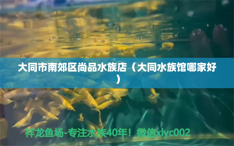 大同市南郊區(qū)尚品水族店（大同水族館哪家好）